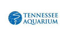 Tennessee Aquarium